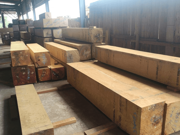 The Ultimate Guide to Wenge Wood: Characteristics, Uses, and Care