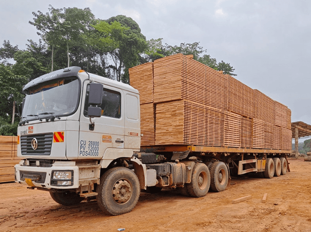 Unlocking the Versatility of Okoume Wood: Properties, Uses, and Advantages
