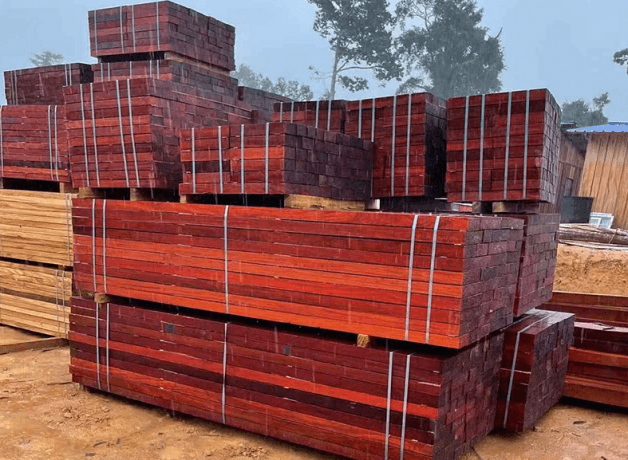 Padouk Wood: A Complete Guide to Its Properties, Uses, and Advantages