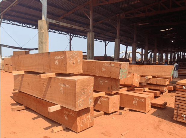 Exploring Sapelli Wood: Properties, Uses, and Comparisons with Other Timbers