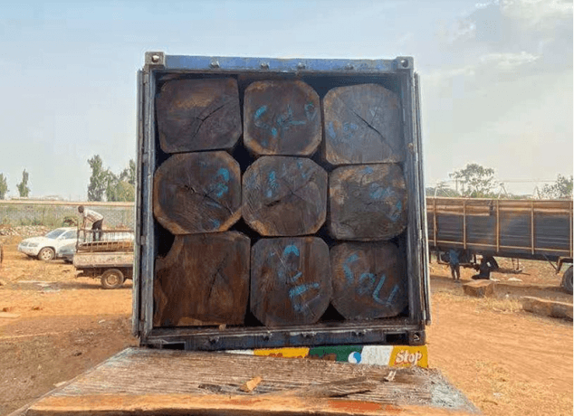 Discovering Ovangkol Wood: A Versatile Treasure from West Africa