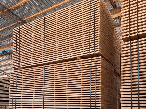 Okoume Wood: A Complete Guide to Its Properties, Uses, and Comparisons