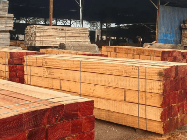 Tali Wood: A Complete Guide to One of Africa’s Most Durable Hardwoods