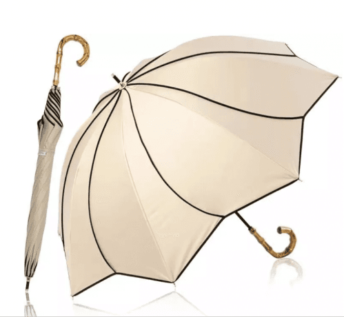 Parasol: The Sun’s Silent Companion — Its Past, Present, and Promise