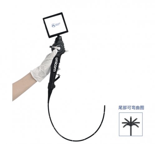 Advancing Airway Visualization: A Comprehensive Guide to the Flexible Video Laryngoscope
