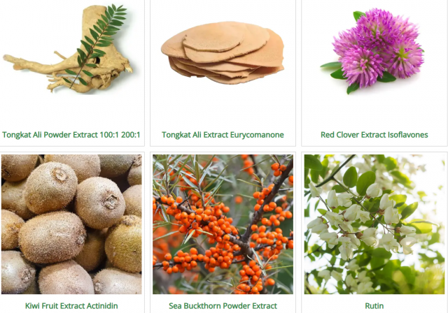 Unlocking the Power of Organic Herbal Extracts: Benefits, Uses, and Insights for Health and Wellness