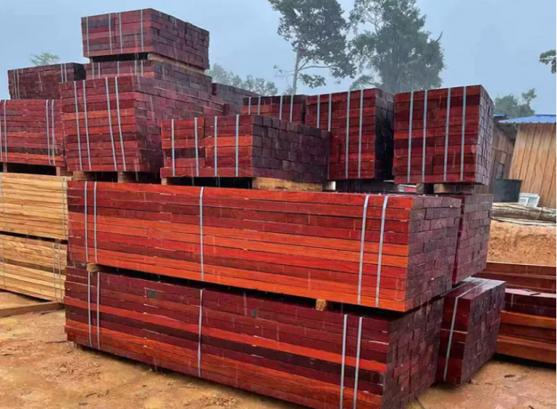 Padouk Wood: The Vibrant Beauty of Exotic Red Timber