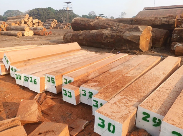Balsamo Wood: Characteristics, Applications, and Market Insights